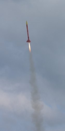 img_8155 ruzovy panter -let 800 ns w